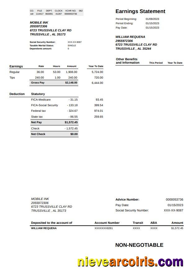 Mobie INK earnings statement